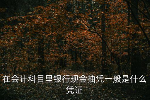 抽憑，審計(jì)如何抽憑