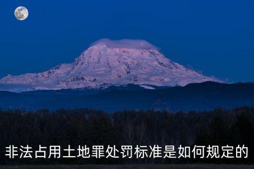 非法占用土地，法律對非法占有土地的責(zé)任是如何規(guī)定的