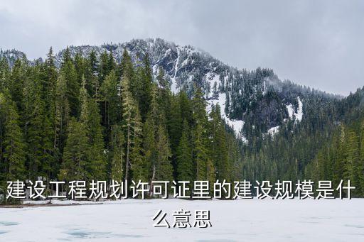 建設(shè)工程規(guī)劃許可證里的建設(shè)規(guī)模是什么意思