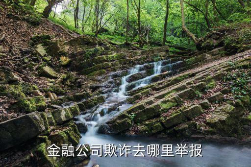 金融投訴，金融公司欺詐去哪里舉報