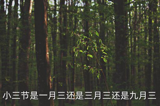 小三節(jié)是一月三還是三月三還是九月三