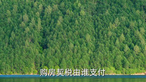 契稅誰交，購房契稅由誰交