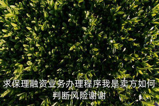 求保理融資業(yè)務(wù)辦理程序我是賣方如何判斷風(fēng)險(xiǎn)謝謝