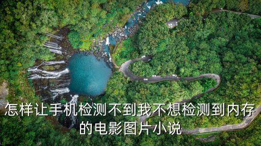 怎樣讓手機(jī)檢測不到我不想檢測到內(nèi)存的電影圖片小說