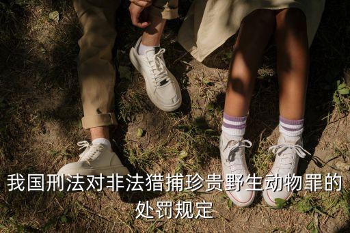 我國刑法對非法獵捕珍貴野生動物罪的處罰規(guī)定