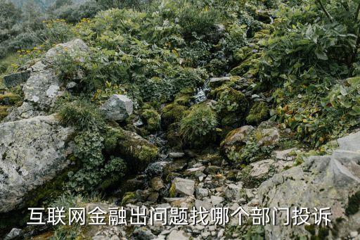 互聯(lián)網(wǎng)金融出問題找哪個(gè)部門投訴