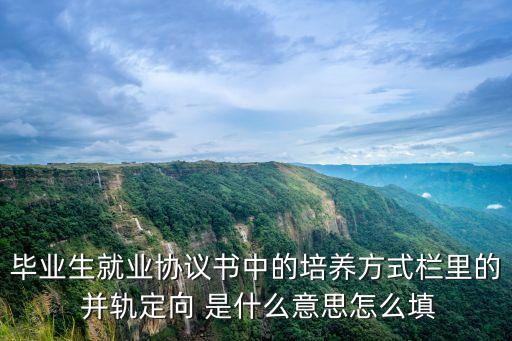 畢業(yè)生就業(yè)協(xié)議書(shū)中的培養(yǎng)方式欄里的 并軌定向 是什么意思怎么填
