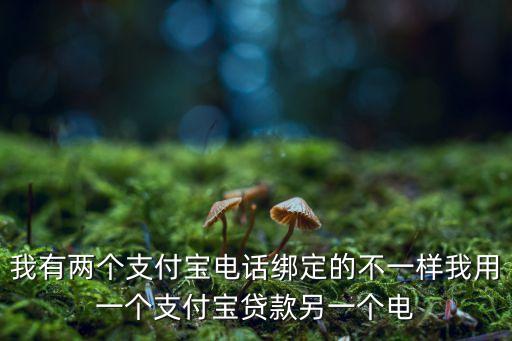 我有兩個支付寶電話綁定的不一樣我用一個支付寶貸款另一個電