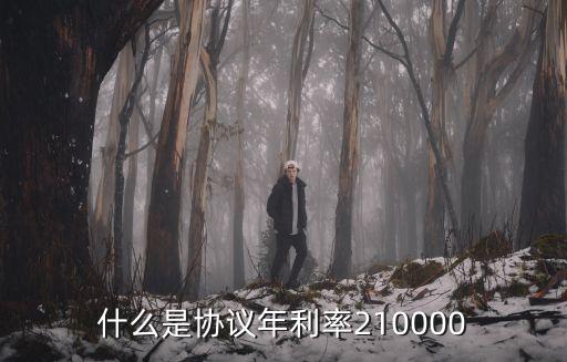 什么是協(xié)議年利率210000
