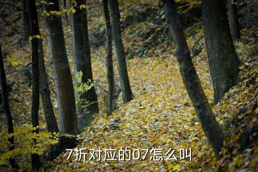 7折對(duì)應(yīng)的07怎么叫