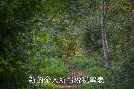 新個(gè)稅稅率表，最新個(gè)人所得稅稅率