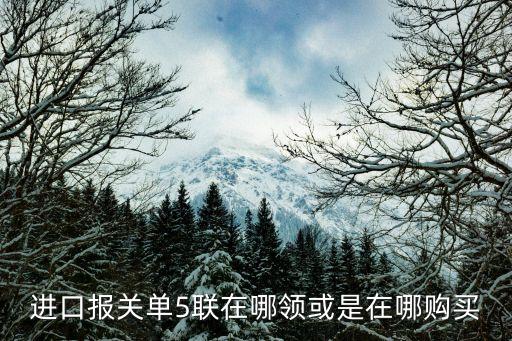 進(jìn)口報(bào)關(guān)單5聯(lián)在哪領(lǐng)或是在哪購買