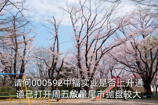 中福實(shí)業(yè)，中福實(shí)業(yè)是做甚么的