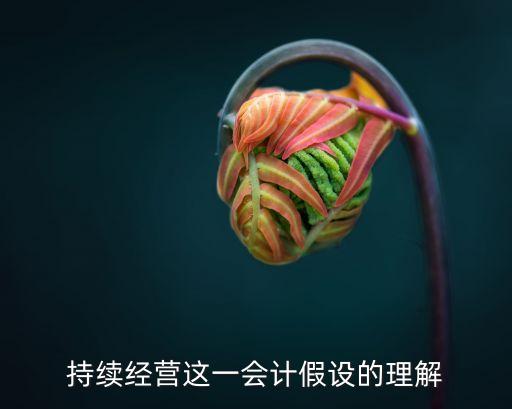 持續(xù)經(jīng)營(yíng)這一會(huì)計(jì)假設(shè)的理解