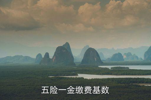 五險(xiǎn)一金繳費(fèi)基數(shù)