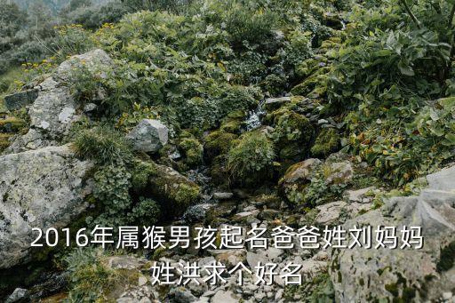 2016年屬猴男孩起名爸爸姓劉媽媽姓洪求個好名