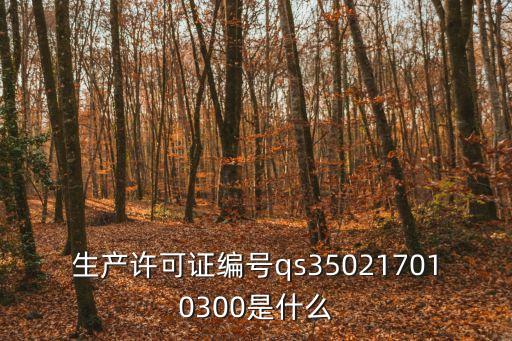 生產(chǎn)許可證編號(hào)qs350217010300是什么