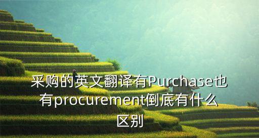 采購(gòu)的英文翻譯有Purchase也有procurement倒底有什么區(qū)別