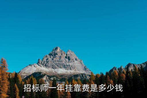 掛靠費(fèi)，招標(biāo)師一年掛靠費(fèi)是多少錢