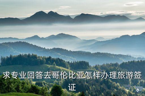 哥倫比亞簽證，求專業(yè)回答去哥倫比亞怎樣辦理旅游簽證