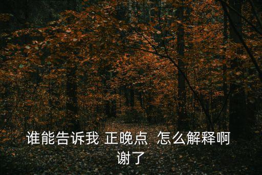 誰能告訴我 正晚點  怎么解釋啊 謝了