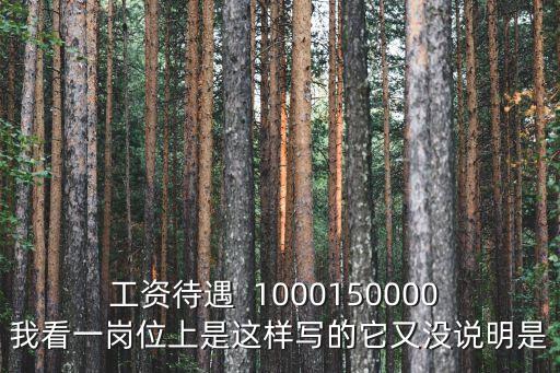 工資待遇  1000150000 我看一崗位上是這樣寫的它又沒說明是