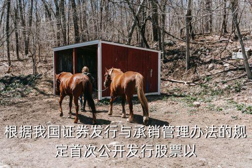 首次公開發(fā)行，首次公開發(fā)行股票的發(fā)行人應(yīng)當(dāng)符合哪些條件
