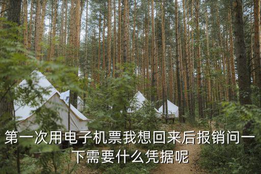 機票報銷憑證圖片，電子飛機票的報銷憑證是什么啊