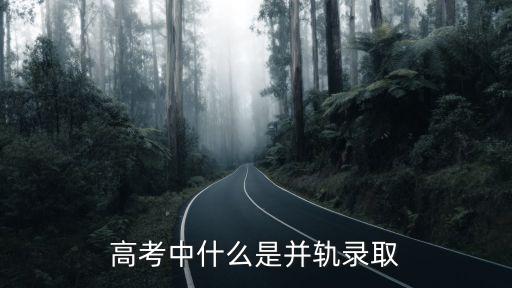 并軌是什么意思，并軌是什麼意思啊