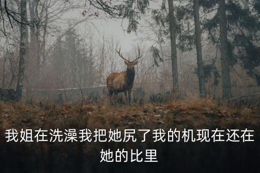 我姐在洗澡我把她尻了我的機(jī)現(xiàn)在還在她的比里