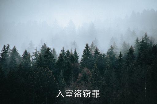 入室盜竊罪，入室盜竊罪