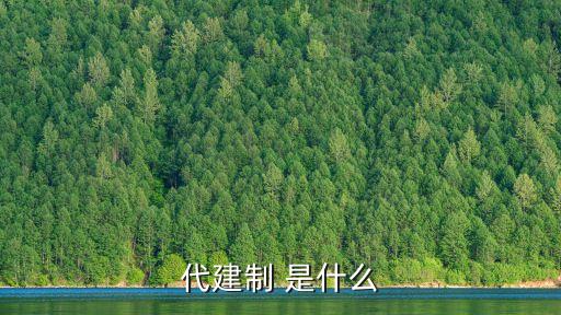 代建制 是什么