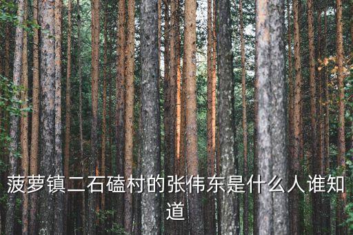 菠蘿鎮(zhèn)二石磕村的張偉東是什么人誰知道