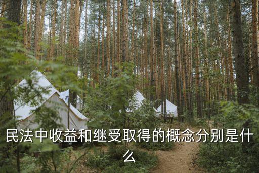 民法中收益和繼受取得的概念分別是什么
