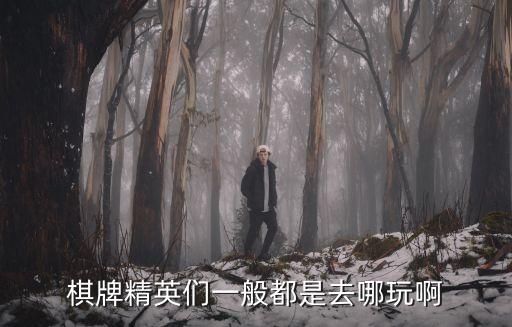 易記棋牌，棋牌精英們一般都是去哪玩啊