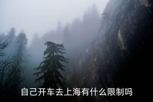 自駕車去上海能進(jìn)去嗎，自己開車去上海有什么限制嗎
