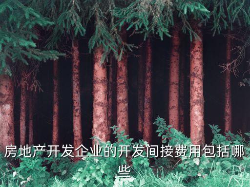 房地產(chǎn)開發(fā)企業(yè)的開發(fā)間接費用包括哪些