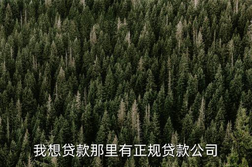 正規(guī)借款，有沒(méi)有正規(guī)小額貸款公司求推薦
