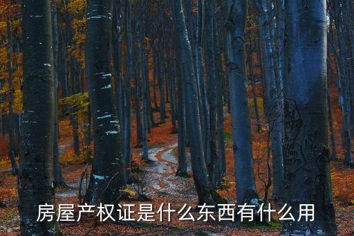 房地產(chǎn)權(quán)證，房屋產(chǎn)權(quán)證是什么東西有什么用