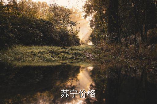 蘇寧電器實(shí)體店報(bào)價(jià)，蘇寧實(shí)體店價(jià)格和網(wǎng)購(gòu)對(duì)比