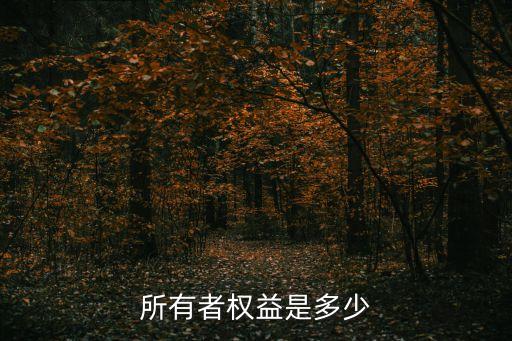 所有者權(quán)益計(jì)算公式，所有者權(quán)益是多少