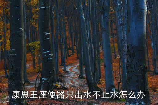 康思，康思王座便器只出水不止水怎么辦