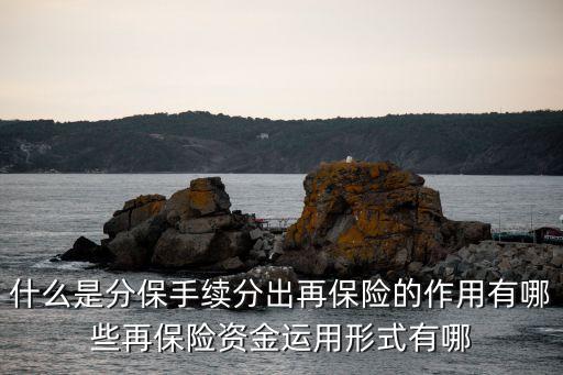 分保，應(yīng)收分保賬款的概念