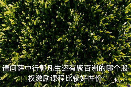 薛中行，有關于股權的書嗎
