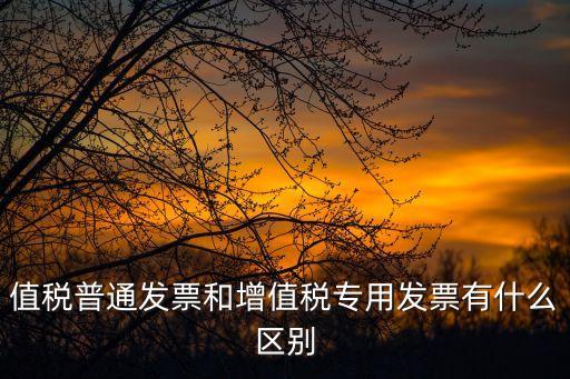 值稅普通發(fā)票和增值稅專用發(fā)票有什么區(qū)別