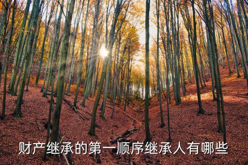 財(cái)產(chǎn)繼承的第一順序繼承人有哪些