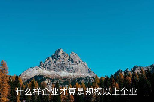 什么樣企業(yè)才算是規(guī)模以上企業(yè)