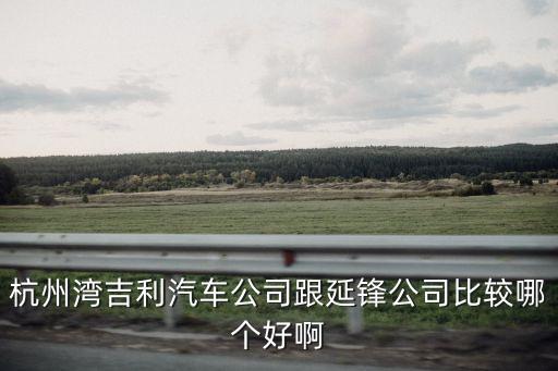 延峰集團(tuán)，杭州灣吉利汽車公司跟延鋒公司比較哪個(gè)好啊
