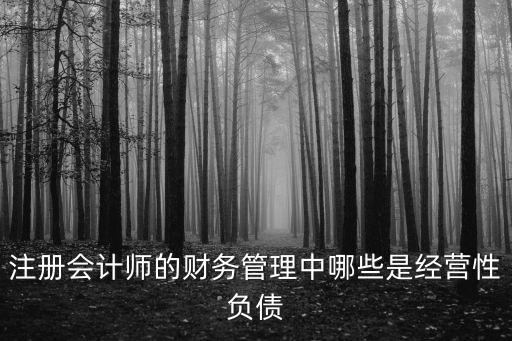 經(jīng)營性負債，經(jīng)營性長期負債是什么