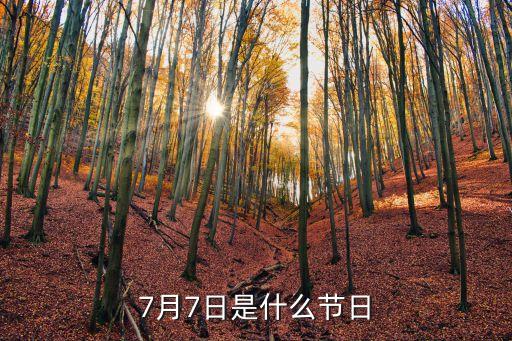 7月7日是什么節(jié)日